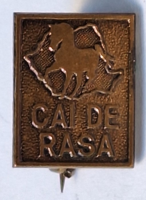 CAI DE RASA - insigna rara
