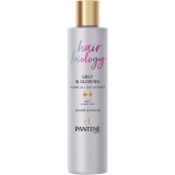 Sampon Pantene Hair Biology Grey &amp;amp; Glowing, 250 ml