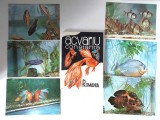 Marcel Stanciu - Acvariu Constanta (Editia: 1977) + 6 vederi