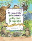 Ce putem invata de la animale. Meditatii de 5 minute - Scriptum