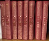 Biblia cu ilustrații - Bartolomeu Anania