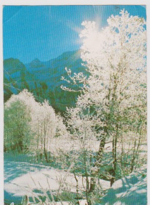 CARTE POSTALA -PEISAJ DE MUNTE foto