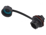Adaptor 8P8C 8-Pin
