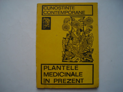 Plantele medicinale in prezent foto