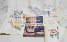 Carte de colectie 1962 uz practic hobby LENJERIE DE CASA cu planse - E. Tomida