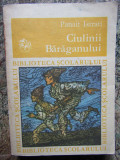 CIULINII BARAGANULUI-PANAIT ISTRATI