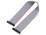Cablu panglică SAMTEC IDC 254mm FFSD-17-D-10.00-01-N cu conectori IDC ambele părți