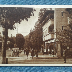 323- Sinaia - Vedere 1952/ RPR / carte postala circulata / timbre pionieri
