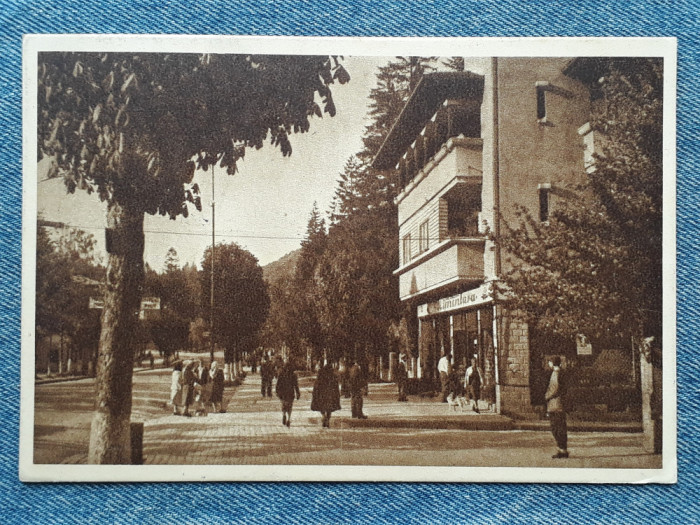 323- Sinaia - Vedere 1952/ RPR / carte postala circulata / timbre pionieri