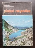 Plaiuri carpatice - Ion Conea