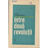 Intre Doua Revolutii