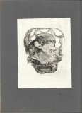 PM468N Ex-libris Bruno Fischer de Franz Von Bayros, heliogravură, cca 1910