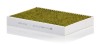 MANN-FILTER FP 34 003 FreciousPlus Filtru, aer habitaclu