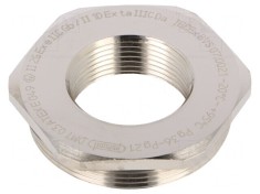 Reduc?ie Filet Intern PG21 Alama foto