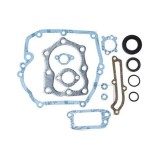 Cumpara ieftin Set de garnituri Briggs-Stratton Quantum engines