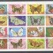 Eq. Guinea 1974 Butterflies, imperf. block, used T.121