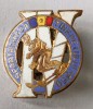 INSIGNA SPARTACHIADA TINERETULUI 1959 SCHI SKI PRINDERE CU AC DE SIGURANTA RPR (CITITI DESCRIEREA)