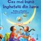 Cea mai buna inghetata din lume