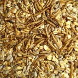 20 kg Deluxe hrană pentru păsări cu viermi de făină fără coajă pentru păsări sălbatice