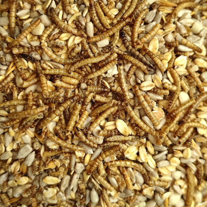 20 kg Deluxe hrană pentru păsări cu viermi de făină fără coajă pentru păsări sălbatice