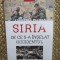 SIRIA - DE CE S-A INSELAT OCCIDENTUL de FREDERIC PICHON, 2015