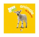 Bebe invaţă. Animale de la fermă - Autor Colectiv