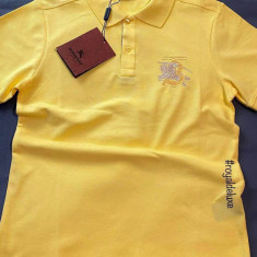 Tricou barbati polo Burberry