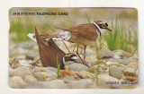 bnk card Cartele telefonice - Coreea de Sud - fauna - pasari