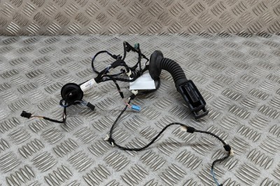 Cablaj ușă st&amp;acirc;nga spate BMW i3 I01 2019 OEM: 8806980 25193957 foto