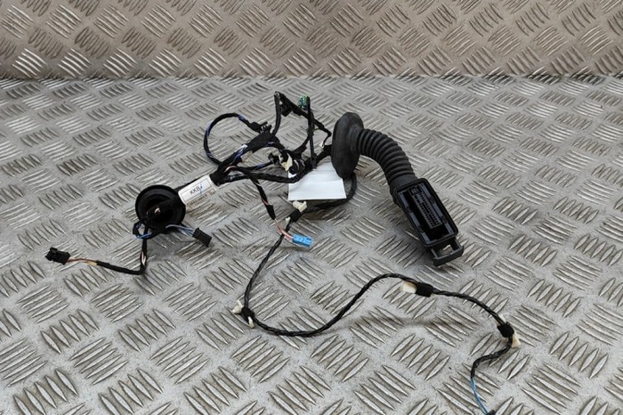 Cablaj ușă st&acirc;nga spate BMW i3 I01 2019 OEM: 8806980 25193957