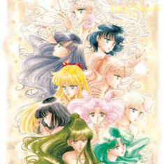 Sailor Moon Eternal Edition 10