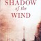 THE SHADOW OF THE WIND-CARLOS RUIZ ZAFON-262046