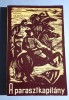 Neamul Șoimăreștilor (maghiară) - Mihai Sadoveanu, Editura Tineretului 1969, Roman Istoric