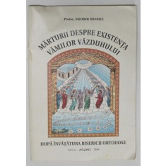 MARTURII DESPRE EXISTENTA VAMILOR VAZDUHULUI , 1999