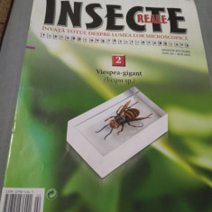 REVISTA INSECTE REALE NR.2 VIESPEA GIGANT DOAR REVISTA