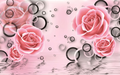 Fototapet autocolant Trandafiri roz si cercuri, 350 x 200 cm foto