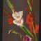 CPIB 19878 CARTE POSTALA - GLADIOLE, RPR