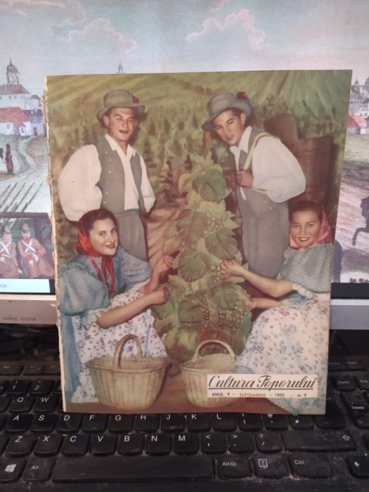 Cultura Poporului nr. 9, sep. 1955, anul V, dansul Culesul viilor, Oradea, 150