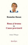 Roua si bruma &amp; Cauze provizori | Romulus Rusan, 2021, Spandugino