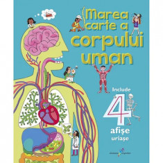 Marea carte a corpului uman, Minna Lacey, Peter Allen