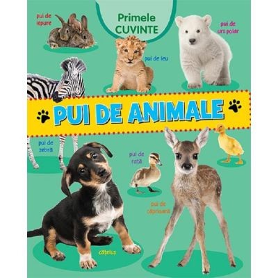 Primele Cuvinte. Pui De Animale - Editura Flamingo