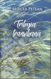 Trilogia transilvana | Mircea Petean, Limes