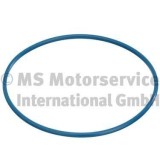 Garnitura capac rezervor Citroen Berlingo, Berlingo Berlingo First, Berlingo Multispace, Berlingo Sasiu; DS DS 5; Peugeot 1007, 2008 I, 2008 II,