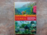 Terra - Our 100-Million-Year-Old Ecosystem--and the Threats That Now Put It at Risk - Hardcover - NovacekMichael