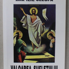 VALOAREA SUFLETULUI de ARHIM . ILIE CLEOPA , 2001