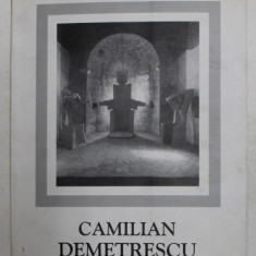 CAMILIAN DEMETRESCU - 30 DE ANI DE ARTA IN ITALIA 1969 - 2000, APARUTA 2000 , DEDICATIE