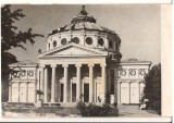 CPIB 22015 - CARTE POSTALA - BUCURESTI. ATENEUL RPR, 1959, Circulata, Fotografie