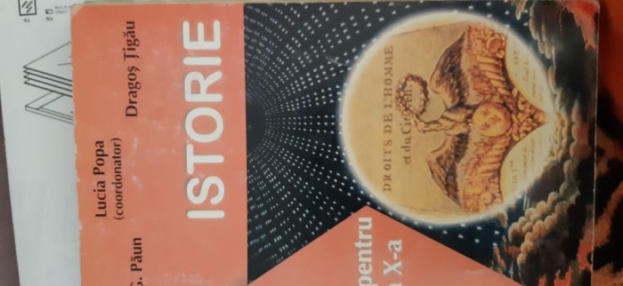 Istorie Manual clasa X L.Popa,R.Paun,D.Tigau 2000