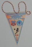 D9 139 - fanion - sport - fotbal - Steaua Bucuresti - Rangers footbal club - CCE 2 martie 1988
