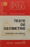 Teste de geometrie. Probleme de matematica (volumul 2) (AK218)